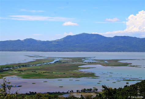 biggest fish in philippines|Laguna de Bay: The largest lake in the Philippines.